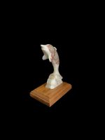 Delfin din Onix de Pakistan pe Soclu de lemn - imagine 3