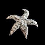 Decor din Argint -Stea de Mare