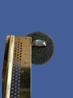 Inel Argint cu Labradorit Fatetat 17.30 mm - imagine 3