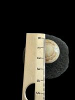 Inel Argint cu Scoica Exotica - imagine 4